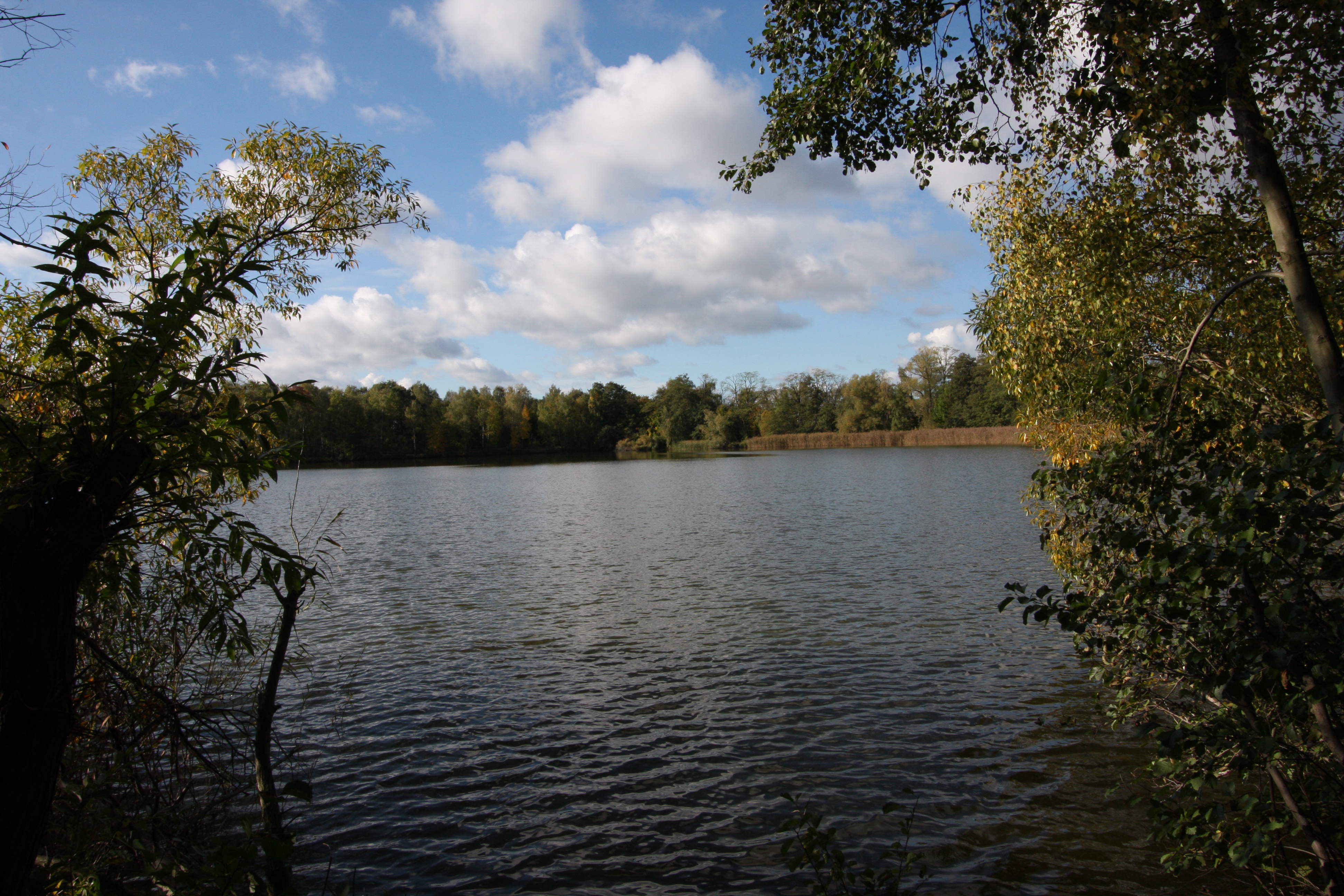 Falkenhagener See